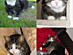 View full size picture