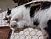 View full size picture