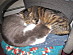 View full size picture