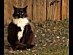 View full size picture