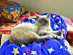 View full size picture