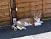 View full size picture