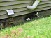 View full size picture
