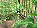 View full size picture