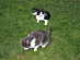 View full size picture