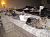 View full size picture
