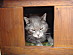 View full size picture