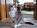 View full size picture