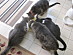 View full size picture