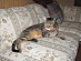 View full size picture