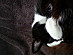 View full size picture