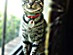 View full size picture