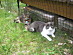 View full size picture