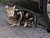 View full size picture