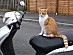 View full size picture