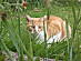 View full size picture