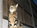 View full size picture