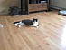 View full size picture