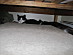 View full size picture