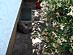 View full size picture