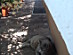 View full size picture