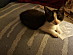 View full size picture