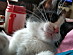 View full size picture