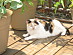 View full size picture
