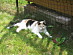 View full size picture