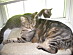 View full size picture