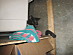 View full size picture