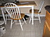View full size picture