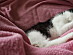 View full size picture