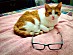 View full size picture