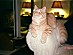 View full size picture