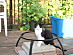 View full size picture