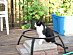 View full size picture