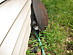 View full size picture