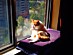 View full size picture