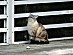 View full size picture