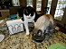 View full size picture
