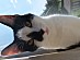 View full size picture