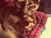 View full size picture