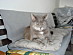 View full size picture