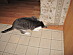 View full size picture