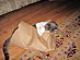 View full size picture