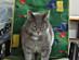 View full size picture