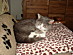 View full size picture