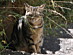 View full size picture