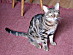 View full size picture